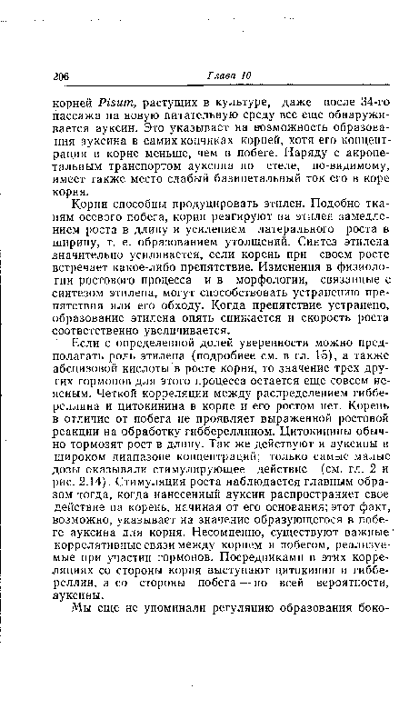 Корни способны продуцировать этилен. Подобно тканям осевого побега, корни реагируют на этилен замедлением роста в длину и усилением латерального роста в ширину, т. е. образованием утолщений. Синтез этилена значительно усиливается, если корень при своем росте встречает какое-либо препятствие. Изменения в физиологии ростового процесса и в морфологии, связанные с синтезом этилена, могут способствовать устранению препятствия или его обходу. Когда препятствие устранено, образование этилена опять снижается и скорость роста соответственно увеличивается.