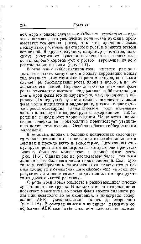 В молодых плодах в больших количествах содержатся также цитокинины — опять-таки их особенно много в семенах и прежде всего в эндосперме. Цитокинины стимулируют рост ягод винограда, в которых они присутствуют в большом количестве в первой фазе роста (рис. 11.6). Однако мы не располагаем более точными данными для большего числа видов растений. Если ауксины и гиббереллины определенно синтезируются в самом плоде, то в отношении цитокининов еще не ясно, об-разуются ли и они в самих плодах или же импортируются из других частей растения.