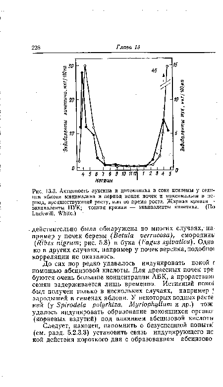 Активность ауксина и цитокинина в соке ксилемы у сеянцев яблони минимальна в период покоя почек и максимальна в период, предшествующий росту, или во время роста. Жирная кривая —• эквиваленты ИУК; тонкая кривая — эквиваленты кинетина. (По Luckwill, White.)