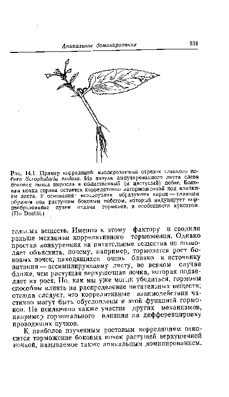 Пример корреляций