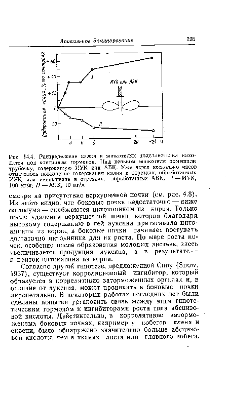 Согласно другой гипотезе, предложенной Сноу (Snow, 1937), существует корреляционный ингибитор, который образуется в коррелятивно заторможенных органах и, в отличие от ауксина, может проникать в боковые почки акропетально. В некоторых работах последних лет были сделаны попытки установить связь между этим гипотетическим гормоном и ингибиторами роста типа абсцизо-вой кислоты. Действительно, в коррелятивно заторможенных боковых почках, например у побегов клена и сирени, было обнаружено значительно больше абсцизо-вой кислоты, чем в тканях листа или главного побега.