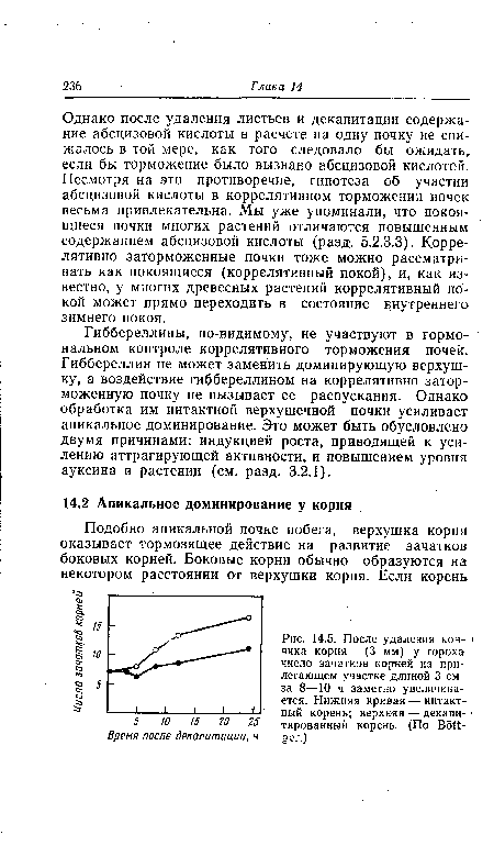 Однако после удаления листьев и декапитации содержание абсцизовой кислоты в расчете на одну почку не снижалось в той мере, как того следовало бы ожидать, если бы торможение было вызвано абсцизовой кислотой. Несмотря на это противоречие, гипотеза об участии абсцизовой кислоты в коррелятивном торможении почек весьма привлекательна. Мы уже упоминали, что покоящиеся почки многих растений отличаются повышенным содержанием абсцизовой кислоты (разд. 5.2.3.3). Коррелятивно заторможенные почки тоже можно рассматривать как покоящиеся (коррелятивный покой), и, как известно, у многих древесных растений коррелятивный покой может прямо переходить в состояние внутреннего зимнего покоя.