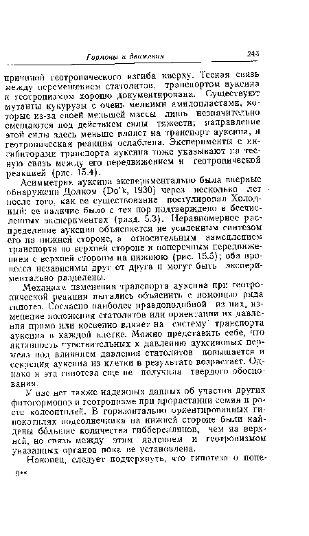 Асимметрия ауксина экспериментально была впервые обнаружена Долком (Оо1к, 1930) через несколько лет после того, как ее существование постулировал Холодный: ее наличие было с тех пор подтверждено в бесчисленных экспериментах (разд. 5.3). Неравномерное распределение ауксина объясняется не усиленным синтезом его на нижней стороне, а относительным замедлением транспорта по верхней стороне и поперечным передвижением с верхней стороны на нижнюю (рис. 15.5); оба процесса независимы друг от друга и могут быть экспериментально разделены.