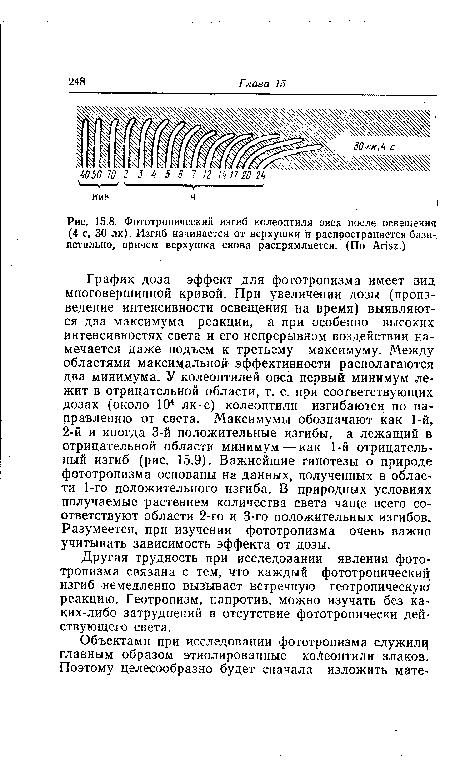 График доза—эффект для фототропизма имеет вид многовершинной кривой. При увеличении дозы (произведение интенсивности освещения на время) выявляются два максимума реакции, а при особенно высоких интенсивностях света и его непрерывном воздействии намечается даже подъем к третьему максимуму. Между областями максимальной эффективности располагаются два минимума. У колеоптилей овса первый минимум лежит в отрицательной области, т. е. при соответствующих дозах (около 104 лк-с) колеоптили изгибаются по направлению от света. Максимумы обозначают как 1-й, 2-й и иногда 3-й положительные изгибы, а лежащий в отрицательной области минимум — как 1-й отрицательный изгиб (рис. 15.9). Важнейшие гипотезы о природе фототропизма основаны на данных, полученных в области 1-го положительного изгиба. В природных условиях получаемые растением количества света чаще всего соответствуют области 2-го и 3-го положительных изгибов. Разумеется, при изучении фототропизма очень важно учитывать зависимость эффекта от дозы.