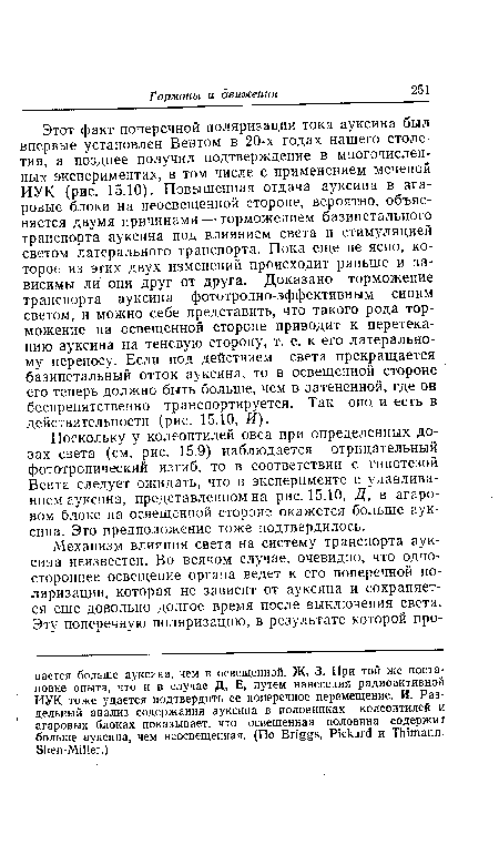 Этот факт поперечной поляризации тока ауксина был впервые установлен Вентом в 20-х годах нашего столетия, а позднее получил подтверждение в многочисленных экспериментах, в том числе с применением меченой ИУК (рис. 15.10). Повышенная отдача ауксина в агаровые блоки на неосвещенной стороне, вероятно, объясняется двумя причинами — торможением базипетального транспорта ауксина под влиянием света и стимуляцией светом латерального транспорта. Пока еще не ясно, которое из этих двух изменений происходит раньше и зависимы ли они друг от друга. Доказано торможение транспорта ауксина фототропно-эффективным синим светом, и можно себе представить, что такого рода торможение на освещенной стороне приводит к перетеканию ауксина на теневую сторону, т. е. к его латеральному переносу. Если под действием света прекращается базипетальный отток ауксина, то в освещенной стороне его теперь должно быть больше, чем в затененной, где он беспрепятственно транспортируется. Так оно. и есть в действительности (рис. 15.10, И).