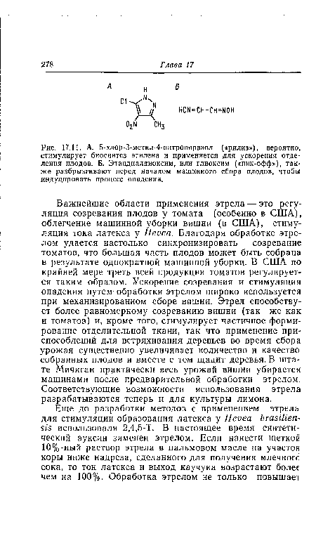 Важнейшие области применения этрела — это регуляция созревания плодов у томата (особенно в США), облегчение машинной уборки вишни (в США), стимуляция тока латекса у Hevea. Благодаря обработке этрелом удается настолько синхронизировать созревание томатов, что большая часть плодов может быть собрана в результате однократной машинной уборки. В США по крайней мере треть всей продукции томатов регулируется таким образом. Ускорение созревания и стимуляция опадения путем обработки этрелом широко используется при механизированном сборе вишни. Этрел способствует более равномерному созреванию вишни (так же как и томатов) и, кроме того, стимулирует частичное формирование отделительной ткани, так что применение приспособлений для встряхивания деревьев во время сбора урожая существенно увеличивает количество и качество собранных плодов и вместе с тем щадит деревья. В штате Мичиган практически весь урожай вишни убирается машинами после предварительной обработки этрелом. Соответствующие возможности использования этрела разрабатываются теперь и для культуры лимона.