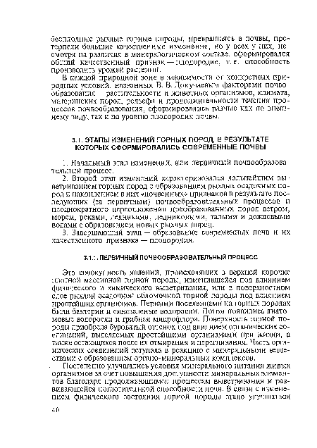 Это совокупность явлений, происходящих в верхней корочке плотной массивной горной породы, изменившейся под влиянием физического и химического выветривания, или в поверхностном слое рыхлой осадочной обломочной горной породы под влиянием простейших организмов. Первыми поселенцами на горных породах были бактерии и синезеленые водоросли. Потом появились диатомовые водоросли и грибная микрофлора. Поверхность горной породы приобрела буроватый оттенок под влиянием органических соединений, выделяемых простейшими организмами при жизни, а также остающихся после их отмирания и перегнивания. Часть органических соединений вступала в реакцию с минеральными веществами с образованием органо-минеральных комплексов.