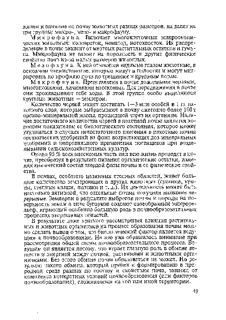 Мезофауна. К ней относятся видимые глазом животные, в основном членистоногие, которые живут в полостях и могут мигрировать по профилю почв по трещинам и крупным порам.