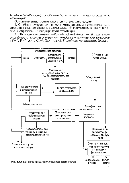 Общая схема процесса гумусообразования в почве