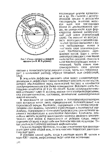 Схема строения коллоидной мицеллы (по Н. И. Горбунову)