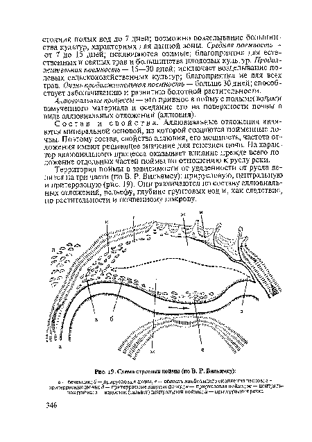 Схема строения поймы (по В. Р. Вильямсу)