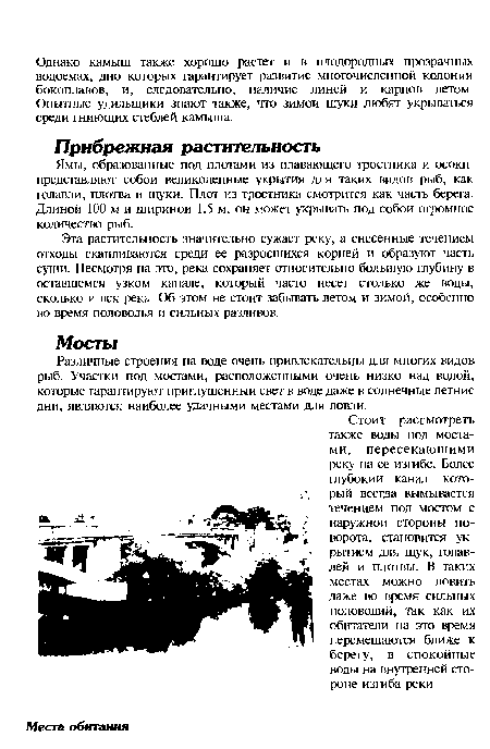 Ямы, образованные под плотами из плавающего тростника и осоки представляют собой великолепные укрытия для таких видов рыб, как голавли, плотва и щуки. Плот из тростника смотрится как часть берега. Длиной 100 м и ширинои 1,5 м, он может укрывать под собой огромное количество рыб.