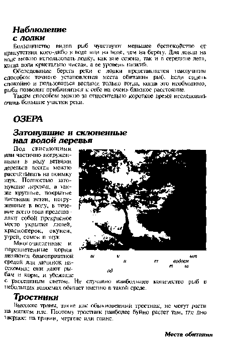 Таким способом можно за относительно короткое время исследовать очень большие участки реки.