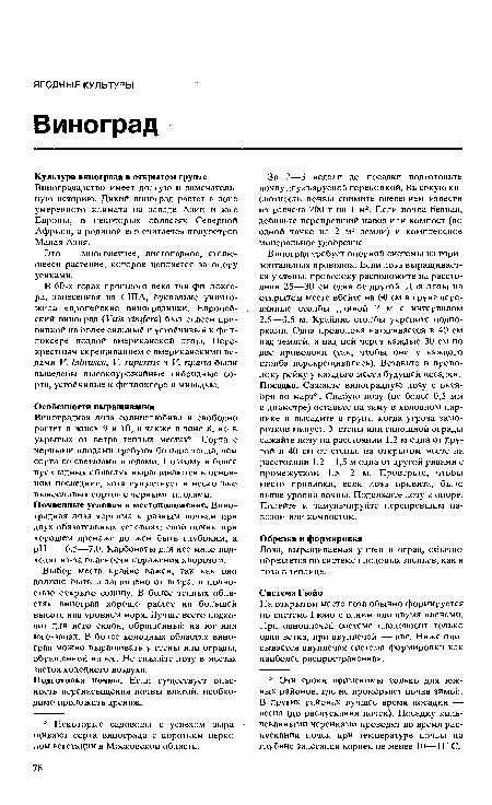 На открытом месте лоза обычно формируется по системе Гюйо с одним или двумя плечами. При одноплечей системе плодоносит только одна ветка, при двуплечей — две. Ниже описывается двуплечая система формировки как наиболее распространенная.