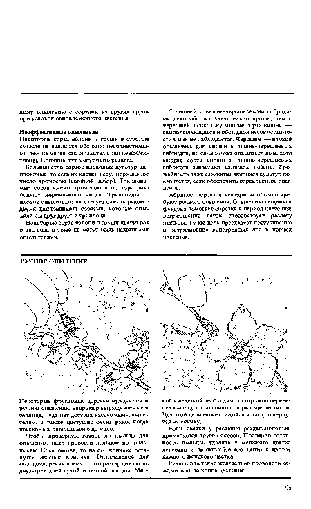 Некоторые фруктовые деревья нуждаются в ручном опылении, например выращиваемые в теплице, куда нет доступа насекомым-опыли-телям, а также цветущие очень рано, когда насекомых-опылителей еще мало.