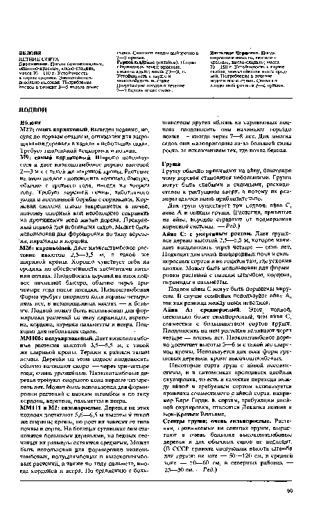 Айва А: среднерослый. Этот подвой, несколько более сильнорослый, чем айва С, совместим с большинством сортов груши. Плодоносить на нем растения начинают через четыре — восемь лет. Низкоштамбовое дерево достигает высоты 3—6 м с такой же шириной кроны. Используется для всех форм грушевых деревьев, кроме высокоштамбовых.