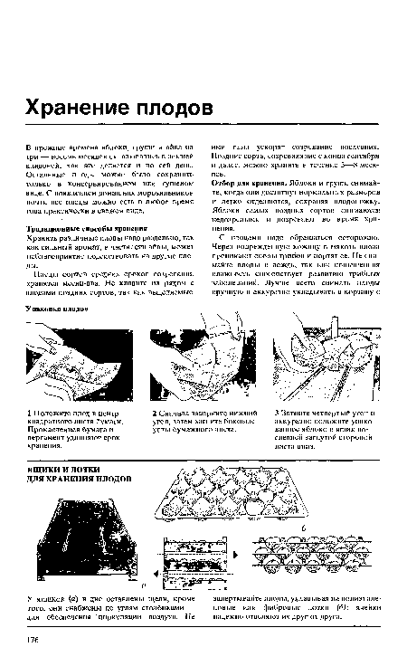 Отбор для хранения. Яблоки и груши снимайте, когда они достигнут нормальных размеров и легко отделяются, сохраняя плодоножку. Яблоки самых поздних сортов снимаются недозрелыми и дозревают во время хранения.