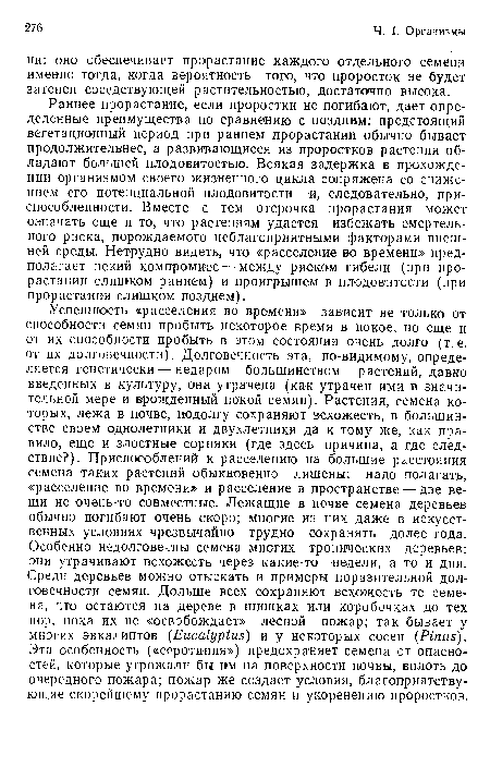 Успешность «расселения во времени» зависит не только от способности семян пробыть некоторое время в покое, но еще и от их способности пробыть в этом состоянии очень долго (т. е. от их долговечности). Долговечность эта, по-видимому, определяется генетически — недаром большинством растений, давно введенных в культуру, она утрачена (как утрачен ими в значительной мере и врожденный покой семян). Растения, семена которых, лежа в почве, подолгу сохраняют всхожесть, в большинстве своем однолетники и двухлетники да к тому же, как правило, еще и злостные сорняки (где здесь причина, а где следствие?). Приспособлений к расселению на большие расстояния семена таких растений обыкновенно лишены: надо полагать, «расселение во времени» и расселение в пространстве — две вещи не очень-то совместные. Лежащие в почве семена деревьев обычно погибают очень скоро; многие из них даже в искусственных условиях чрезвычайно трудно сохранять долее года. Особенно недолговечны семена многих тропических деревьев: они утрачивают всхожесть через какие-то недели, а то и дни. Среди деревьев можно отыскать и примеры поразительной долговечности семян. Дольше всех сохраняют всхожесть те семена, что остаются на дереве в шишках или коробочках до тех пор, пока их не «освобождает» лесной пожар; так бывает у многих эвкалиптов (Eucalyptus) и у некоторых сосен (Pinus). Эта особенность («серотиния») предохраняет семена от опасностей, которые угрожали бы им на поверхности почвы, вплоть до очередного пожара; пожар же создает условия, благоприятствующие скорейшему прорастанию семян и укоренению проростков.