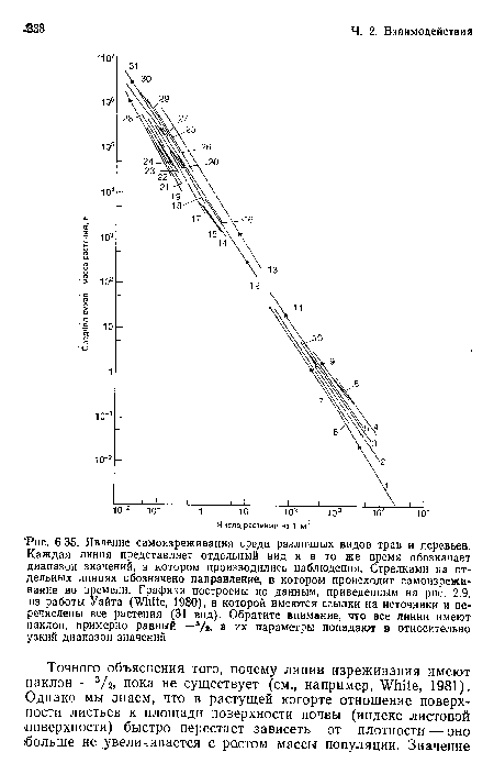 Явление самоизреживания среди различных видов трав и деревьев. Каждая линия представляет отдельный вид и в то же время обозначает диапазон значений, в котором производились наблюдения. Стрелками на отдельных линиях обозначено направление, в котором происходит самоизрежи-ваиие во времени. Графики построены по данным, приведенным на рис. 2.9, из работы Уайта (White, 1980), в которой имеются ссылки на источники и перечислены все растения (31 вид). Обратите внимание, что все линии имеют наклон, примерно равный —ь/% а их параметры попадают в относительно узкий диапазон значений