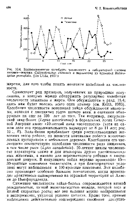 Существует ряд примеров, полученных на природных популяциях, в которых можно обнаружить регулярные колебания численности хищников и жертв. Они обсуждаются в разд. 15.4; здесь нам будет полезен всего один пример (см. Keith, 1983). Колебания численности популяций зайца обсуждаются экологами, начиная с двадцатых годов нашего века, а охотники обнаружили их еще за 100 лет до того. Так например, американский заяц-беляк (Lepus americanus) в бореальных лесах Северной Америки имеет «10-летний цикл численности» (хотя на самом деле его продолжительность варьирует от 8 до 11 лет; рис.