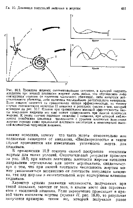 Изоклина жертвы, соответствующая ситуации, в которой скорость выедания при низкой плотности жертвы очень низка, что обусловлено либо совокупным ответом (и наличием частичного убежища), либо наличием действительного убежища, либо наличием несъедобного растительного материала.  Если хищник охотится со сравнительно низкой эффективностью, то такому случаю соответствует изоклина II хищника и результат сходен с тем, который приведен на рис. 10.7. Однако при сравнительно высокой эффективности охоты популяция хищника все еще может существовать при низкой плотности жертвы. К этому случаю подходит изоклина I хищника, при которой наблюдается устойчивая динамика численности с уровнем плотности популяции жертвы гораздо ниже предельной плотности насыщения и относительно вы«ь кой плотностью популяции хищника.