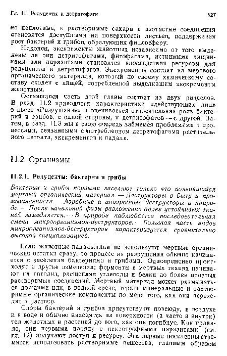 Если животные-падальщики не используют мертвые органические остатки сразу, то процесс их разрушения обычно начинается с заселения бактериями и грибами. Одновременно происходят и другие изменения: ферменты в мертвых тканях начинают их автолиз, расщепляя углеводы и белки до более простых растворимых соединений. Мертвый материал может размываться дождями или, в водной среде, терять минеральные и растворимые органические компоненты по мере того, как они переходят в раствор.