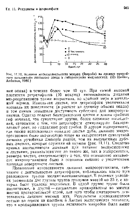 Влияние жизнедеятельности мокриц (Isopoda) на процесс микробного разложения листового опада в лабораторных микрокосмах. (Из Hanlon, Anderson, 1980.)