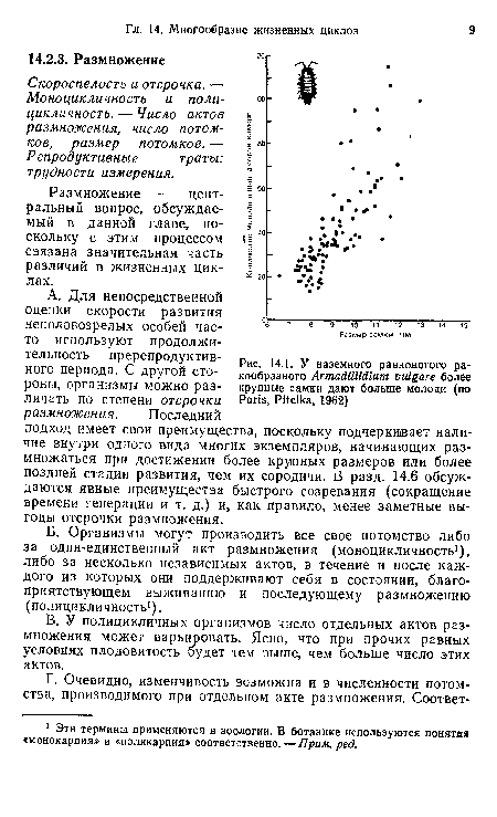 Б. Организмы могут производить все свое потомство либо за один-единственный акт размножения (моноцикличность1), либо за несколько независимых актов, в течение и после каждого из которых они поддерживают себя в состоянии, благоприятствующем выживанию и последующему размножению (полицикличность1).