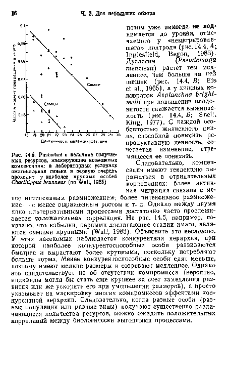 Следовательно, компенсации имеют тенденцию выражаться в отрицательных корреляциях: более активная миграция связана с менее интенсивным размножением; более интенсивное размножение — с менее выраженным ростом и т, д. Однако между двумя явно альтернативными процессами достаточно часто прослеживается положительная корреляция. На рис. 14.5, например, показано, что кобылки, первыми достигающие стадии имаго, являются самыми крупными (Wall, 1985). Объяснить это несложно. У этих насекомых наблюдается конкурентная иерархия, при которой наиболее конкурентоспособные особи развиваются быстрее и вырастают более крупными, поскольку потребляют больше корма. Менее конкурентоспособные особи едят меньше, поэтому имеют мелкие размеры и созревают медленнее. Однако это свидетельствует не об отсутствии компромисса (вероятно, индивиды могли бы стать еще крупнее за счет замедления развития или же ускорить его при уменьшении размеров), а просто указывает на маскировку многих компромиссов эффектами конкурентной иерархии. Следовательно, когда разные особи (разные популяции или разные виды) получают существенно различающиеся количества ресурсов, можно ожидать положительных корреляций между биологически выгодными процессами.