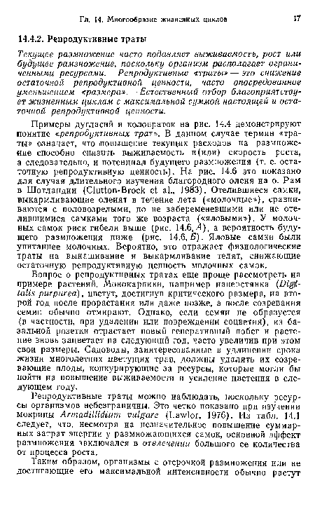 Вопрос о репродуктивных тратах еще проще рассмотреть на примере растений. Монокарпики, например наперстянка (Digitalis purpurea), цветут, достигнув критического размера, на второй год после прорастания или даже позже, а после созревания семян обычно отмирают. Однако, если семян не образуется (в частности, при удалении или повреждении соцветия), из базальной розетки отрастает новый генеративный побег и растение вновь зацветает на следующий год, часто увеличив при этом свои размеры. Садоводы, заинтересованные в удлинении срока жизни многолетних цветущих трав, должны удалять их созревающие плоды, конкурирующие за ресурсы, которые могли бы пойти на повышение выживаемости и усиление цветения в следующем году.