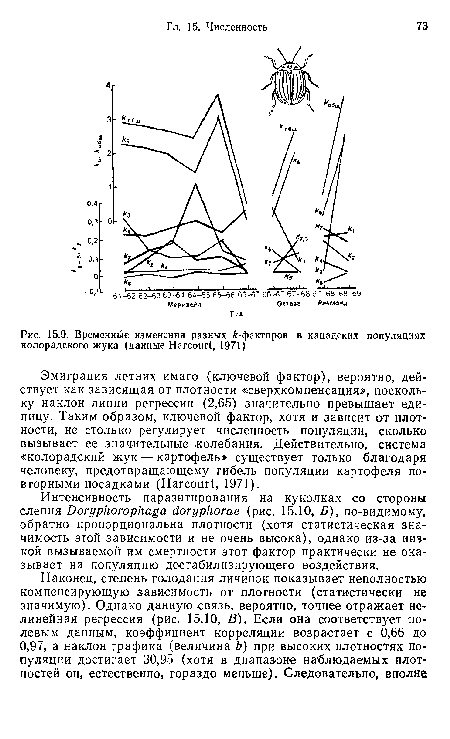 Эмиграция летних имаго (ключевой фактор), вероятно, действует как зависящая от плотности «сверхкомпенсация», поскольку наклон линии регрессии (2,65) значительно превышает единицу. Таким образом, ключевой фактор, хотя и зависит от плотности, не столько регулирует численность популяции, сколько вызывает ее значительные колебания. Действительно, система «колорадский жук — картофель» существует только благодаря человеку, предотвращающему гибель популяции картофеля повторными посадками (НагсошЧ, 1971).