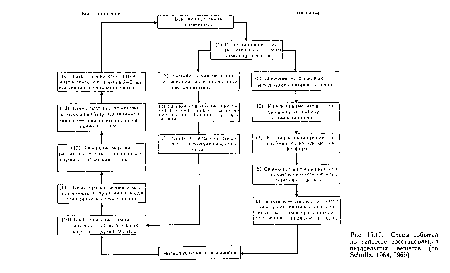 Схема событий по гипотезе восстановления питательных веществ (по Schultz, 1964, 1969)