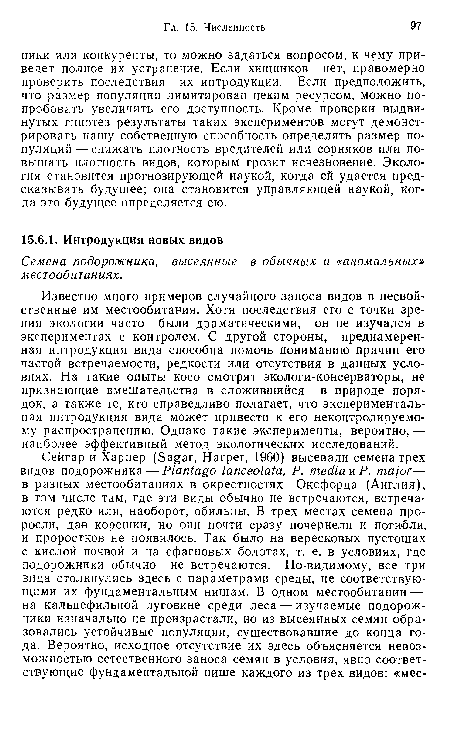 Семена подорожника, высеянные в обычных и «аномальных» местообитаниях.