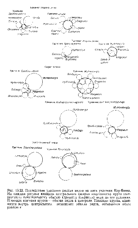 Последствия удаления разных видов на пяти участках Кор-Банкс. На каждом рисунке площадь центрального (жирно очерченного) круга соответствует относительному обилию (проценту покрытия) вида до его удаления. Площади внешних кругов — обилие видов в контроле. Площади кругов, вдающихся внутрь центрального, —повышение обилия видов, оставшихся после удаления