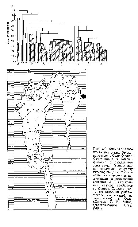 Анализ 68 сообществ бентосных беспозвоночных в Осло-Фьорде, Скандинавия. А. Классификация с выделением семи групп (треугольники означают «неудачу классификации», т. е. сообщества с нечетким положением в полученной системе). Б. Распределение классов сообществ во фьорде. Стрелка указывает основной участок выноса загрязнений из окрестностей г. Осло. (Данные F. В. Mirza, представленные Gray, 1981.)
