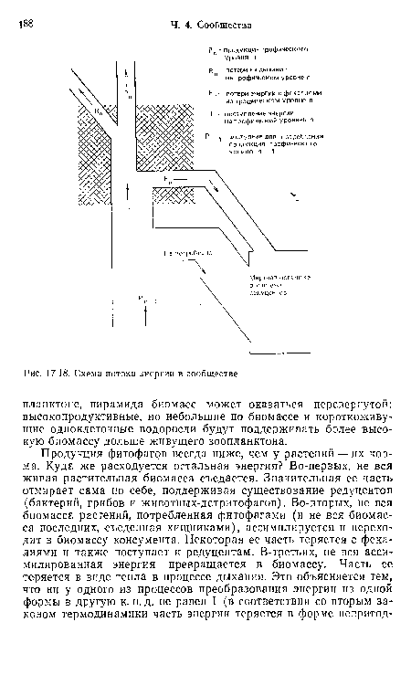 Схема потока энергии в сообществе