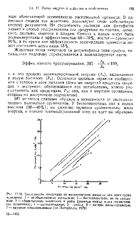 Зависимость продукции от интенсивности дыхания для семи групп животных
