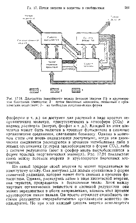 Диаграмма зависимости между потоком энергии (1) и круговоротом биогенных элементов; 2 — поток биогенных элементов, связанных с органическим веществом; 3 — их свободная неорганическая форма