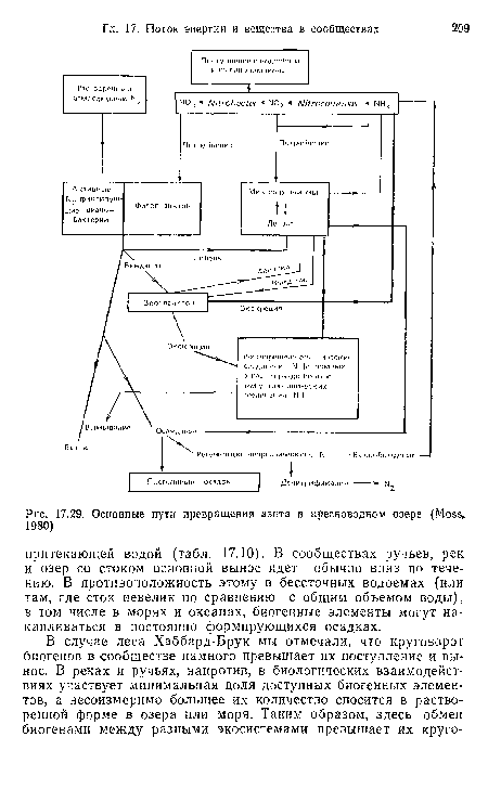 Основные пути превращения азота в пресноводном озере (Moss, 1980)