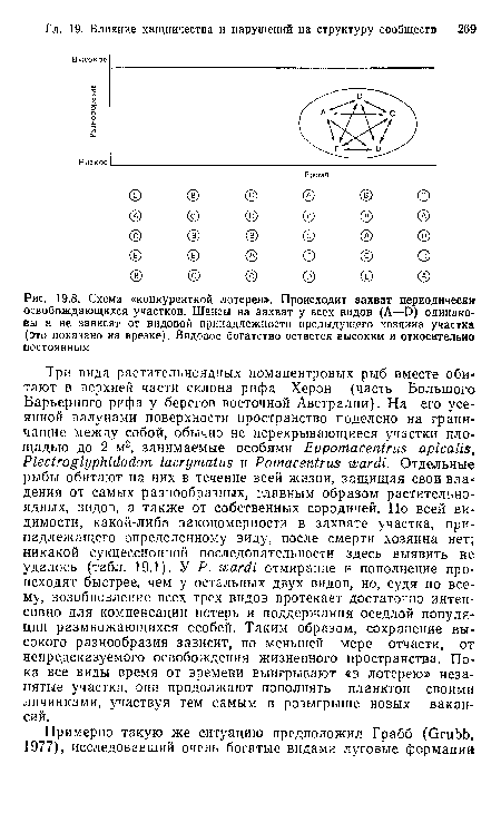 Схема «конкурентной лотереи». Происходит захват периодически освобождающихся участков. Шансы на захват у всех видов (А—D) одинаковы н не зависят от видовой принадлежности предыдущего хозяина участка (это показано на врезке). Видовое богатство остается высоким и относительно постоянным