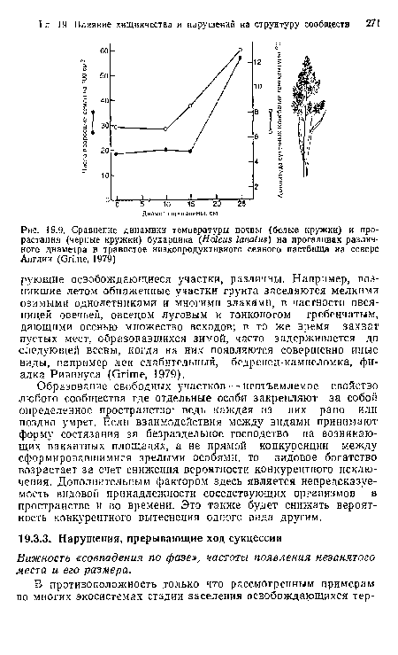 Сравнение динамики температуры почвы (белые кружки) и прорастания (черные кружки) бухарника (Holcus lanatus) на прогалинах различного диаметра в травостое низкопродуктивного сеяного пастбища на севере Англии (Grime, 1979)