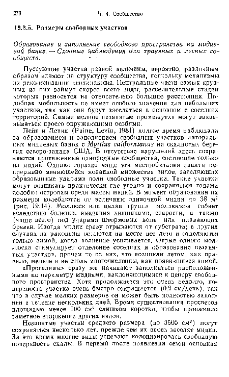 Пустующие участки разной величины, вероятно, различным образом влияют на структуру сообщества, поскольку механизмы их реколонизации неодинаковы. Центральные части самых крупных из них займут скорее всего виды, расселительные стадии которых разносятся на относительно большие расстояния. Подобная мобильность не имеет особого значения для небольших участков, так как они будут заселяться в основном с соседних территорий. Самые мелкие незанятые промежутки могут захва-вываться просто окружающими особями.