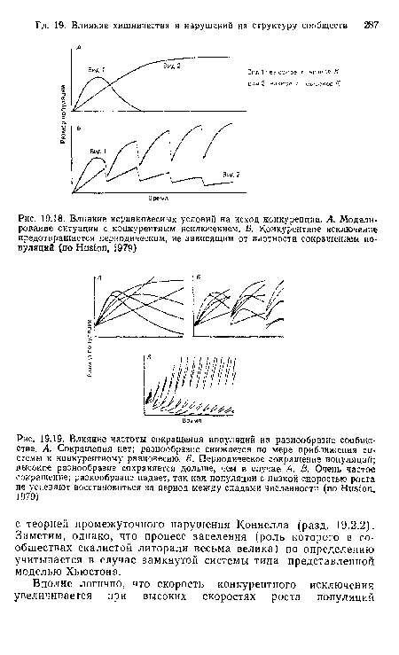 Влияние неравновесных условий на исход конкуренции. А. Моделирование ситуации с конкурентным исключением. Б. Конкурентное исключение предотвращается периодическим, не зависящим от плотности сокращением популяций (по Huston, 1979)