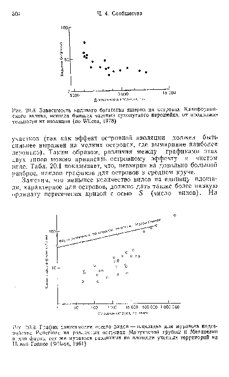 Зависимость видового богатства ящериц иа островах Калифорнийского залива, некогда бывших частями сухопутного перешейка, от продолжительности их изоляции (по Wilcox, 1978)