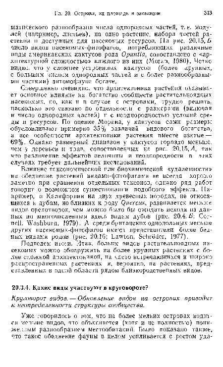 Круговорот видов. — Обновление видов на островах приводит к неопределенности структуры сообщества.