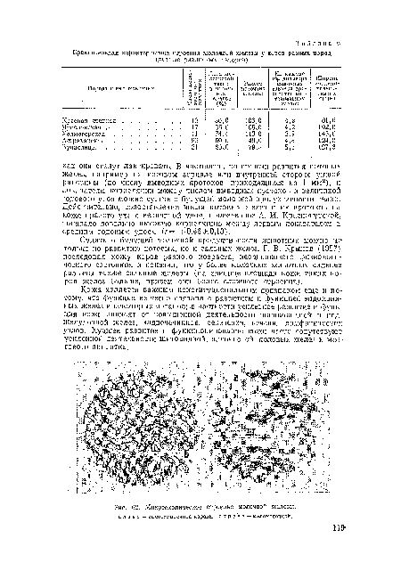 Микроскопическое строение молочной железы