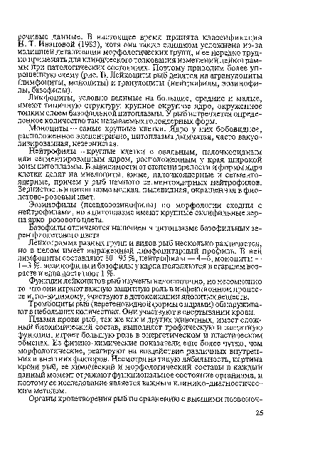 Н. Т. Ивановой (1983), хотя она также слишком усложнена из-за излишней детализации морфологических групп, и ее нередко трудно применять для клинического толкования изменений лейкограм-мы при патологических состояниях. Поэтому приводим более упрощенную схему (рис. I). Лейкоциты рыб делятся на агранулоциты (лимфоциты, моноциты) и гранулоциты (нейтрофилы, эозинофи-лы, базофилы).