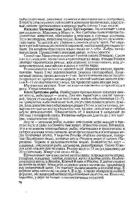 Класс Хрящевые рыбы. Наибольшее промысловое значение имеют акулы, небольшое — скаты. Для них характерны скелет хрящевой, чешуя плакоидная или тело голое, жабры пластинчатые (5-7), не прикрытые жаберной крышкой, отсутствие плавательного пузыря. Большинство акул яйцеживородящие (белая и лисья акулы), полярная и кошачья акулы яйцекладущие, катран, сельдевая и голубая акулы живородящие. Плодовитость от 3 мальков у сельдевой до 500 яиц у полярной акулы. Развитие эмбриона длится до 2 лет (катран, плащеносная акула).