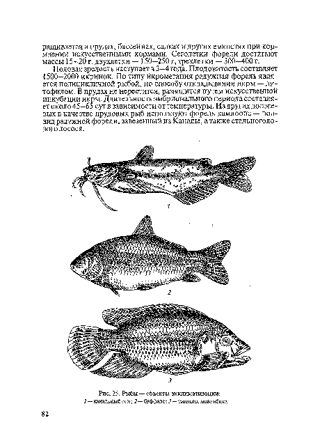 Рыбы — объекты акклиматизации