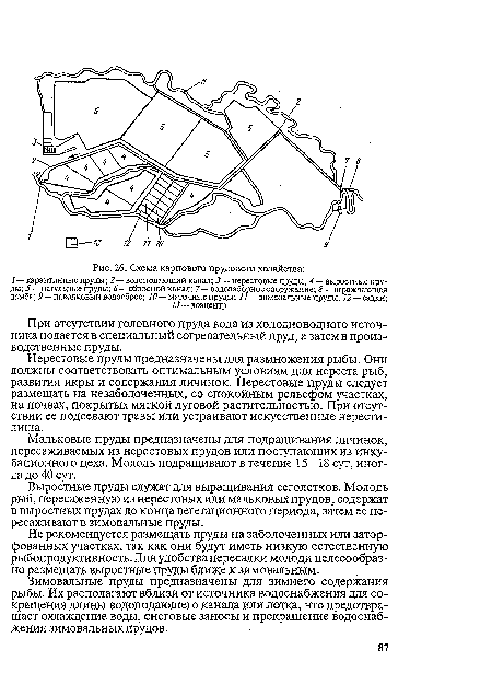 Не рекомендуется размещать пруды на заболоченных или затор-фованных участках, так как они будут иметь низкую естественную рыбопродуктивность. Для удобства пересадки молоди целесообразно размещать выростные пруды ближе к зимовальным.